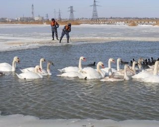 Южный ледовитый. Крымчане в полной мере ощутили жестокость стихии