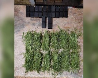 ЗС РФ "загортають" міни у траву: у Нікопольській РВА пояснили, як уберегтися від нової небезпеки