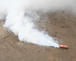 Сторонники оппозиции забросали администрацию Януковича дымовыми шашками