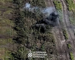Накрили вогнем: з'явилося відео з БПЛА, як 3 ОШБр зачищала лісосмугу біля Андріївки (відео)