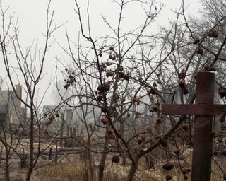 Под Москвой горят 160 га леса