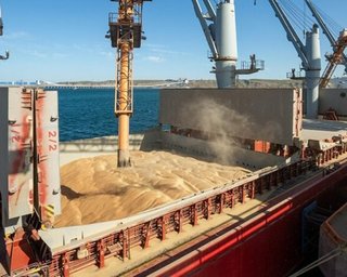 Росії стало важче експортувати зерно після обстрілів українських портів, — Reuters