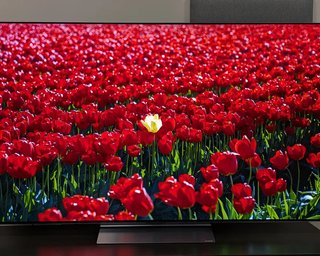 Найкращий OLED-телевізор LG 2026 року за результатами тестів: експерт порадив модель на 77 дюймів