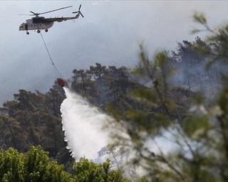 Туреччина взяла під контроль пожежі на півдні країни: туристи повертаються в готелі (фото, відео)