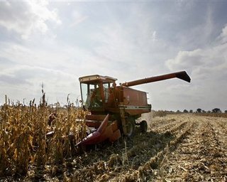 От засухи может пострадать до 50% урожая, - Укргидрометцентр