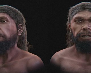 Як виглядав найдавніший представник Homo sapiens: вчені відтворили його обличчя (фото)