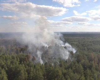 Масштабный пожар в Луганской области локализован, – ГСЧС