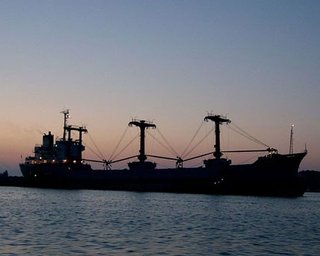 Судно с китайской гречкой застряло на подходах к Украине