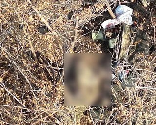 "Звʼязали руки, а потім убили": ЗС РФ розстріляли полонених під Токмаком, — Стерненко (фото)