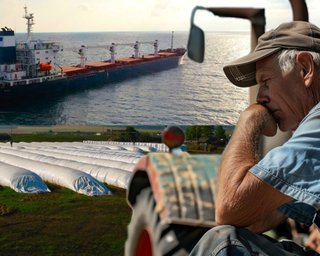 Продукти можуть подешевшати, а фермери — збанкрутувати: до чого призведе зернова криза в Україні