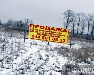 Рынок земли может появиться уже в 2012 году, - Янукович