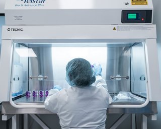 "Вызывают значительные вопросы безопасности": США проверит более 40 биолабораторий в Украине, — NYP