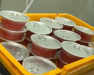 У РФ стверджують, що після переговорів із Путіним Віткофф повіз Трампу ящик червоної ікри