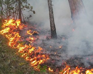 На Донбассе из-за обстрела боевиков горел дачный поселок, − штаб ООС