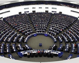 На выборы в Украину приедут 15 наблюдателей от Европарламента