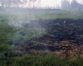 Жара: под Киевом тлеют торфяники