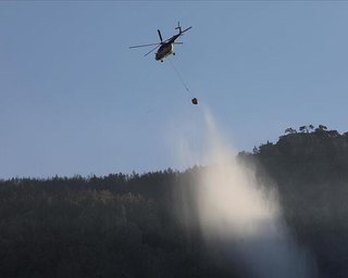 Влада Туреччини оголосила про перемогу над лісовими пожежами — через 15 днів боротьби