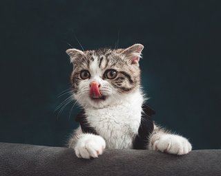 Мільйони людей у небезпеці: джерело небезпечного захворювання знаходиться у наших домівках