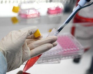 Омікрон вже в Україні. Перший випадок виявили у людини, що прилетіла з ОАЕ, — МОЗ