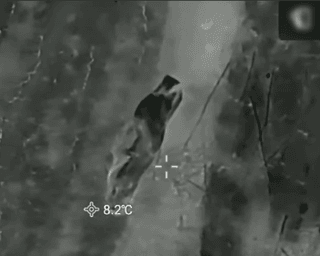 "Дронарі вже натреновані": у ЗСУ розповіли, як вираховують росіян в "плащах-невидимках" (відео)