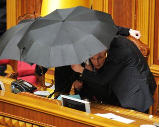 Литвин: я от яиц не падаю