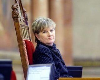 Румынские венгры пожаловались в ООН на притеснения нацменьшинств в Украине, - СМИ