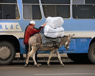 Карта мира. Колеса Востока. Марокканский транспорт как достопримечательность 