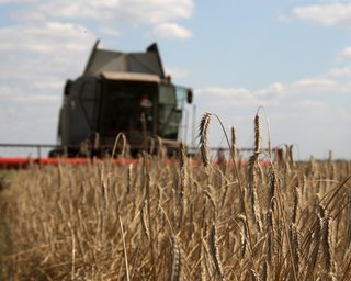 "Суперечать духу і букві домовленості": РФ висунула умови для відновлення зернової угоди