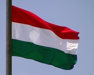 Посольство Украины в Венгрии частично возобновило консульский прием