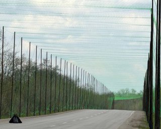 Через загрозу з боку Білорусі: на Волині встановлять антидронові сітки на дорогах біля кордону