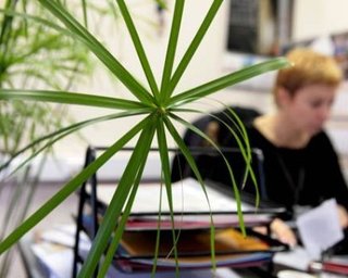 Офисы в Киеве дорожают быстрее всех в Европе