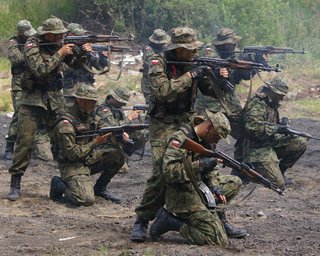 Польша не исключает поставок оружия Украине