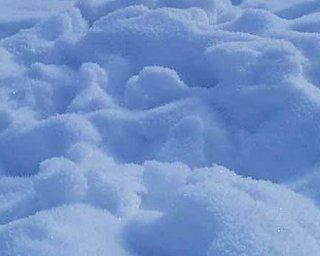 В Польше от холода умерли больше 70 человек