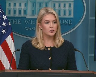 Остались некоторые разногласия по мирному плану: Трамп "давит" на Зеленского и Путина, — Белый дом