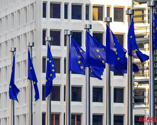 ЕС не признал результаты выборов в Беларуси