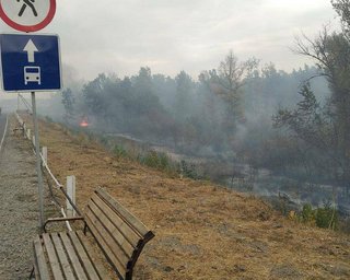 Пожары на Луганщине: пункт пропуска в Станице Луганской временно закрыли