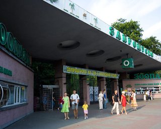 В Киевском зоопарке умерла антилопа нильгау