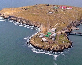 На острове Змеиный не могут проголосовать