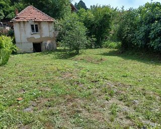 На березі Дунаю продають будинок всього за 10 тисяч євро: у чому підступ (фото)