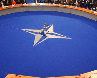 НАТО высказался по поводу спора Украины и Венгрии
