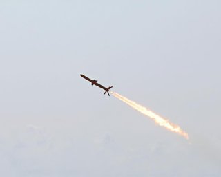 Впала в озеро: київські поліцейські показали уламки ракети Х-55 (фото)