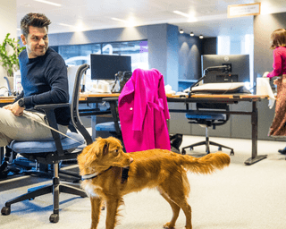 Конкуренция за кадры: как pet-friendly офис влияет на рынок труда