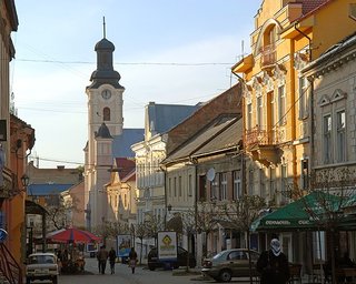 В Ужгороде пересчитают голоса на выборах в горсовет