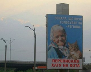 Бабушка с котом стала самым популярным поисковым запросом украинцев в Google