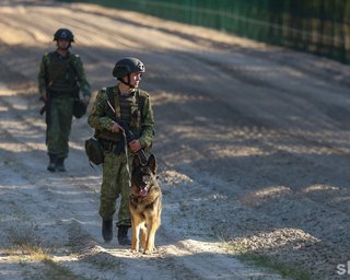 РФ может открыть новый фронт из Беларуси: командир РДК оценил угрозу (видео)