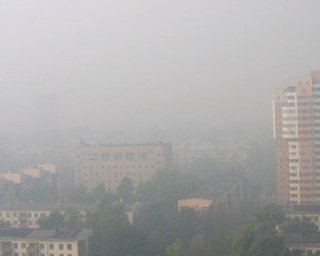 Жара в России: смертность в Подмосковье выросла на 25%