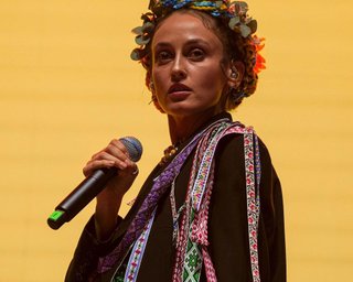 Аліна Паш забула, як перетинала кордон із Кримом, та розповіла, хто підробив довідку