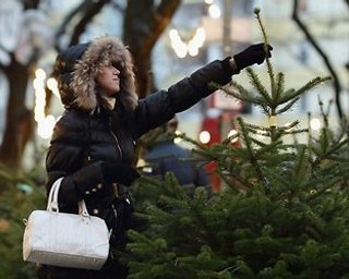 Украинцев будут штрафовать за покупку елки без чипа