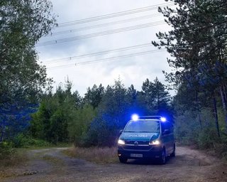 У Німеччині вже виявили 21 вибуховий пристрій біля ліній електропередач: хто взяв на себе відповідальність