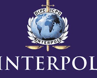 Интерпол предложил помощь в расследовании теракта в Домодедово